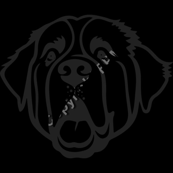 B6134 St Bernard Thumbnail
