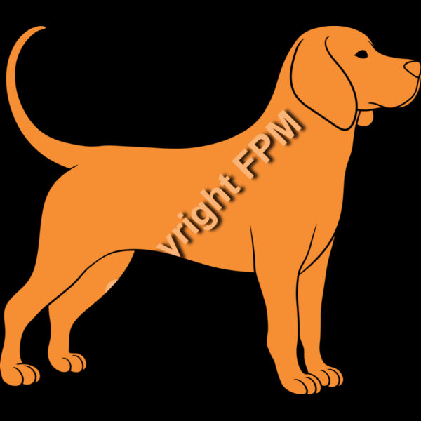 B6141 Dog Thumbnail
