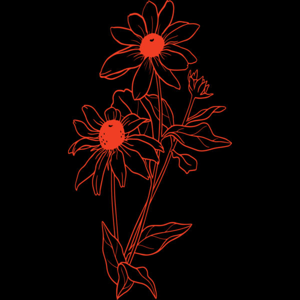 07 Daisies Thumbnail