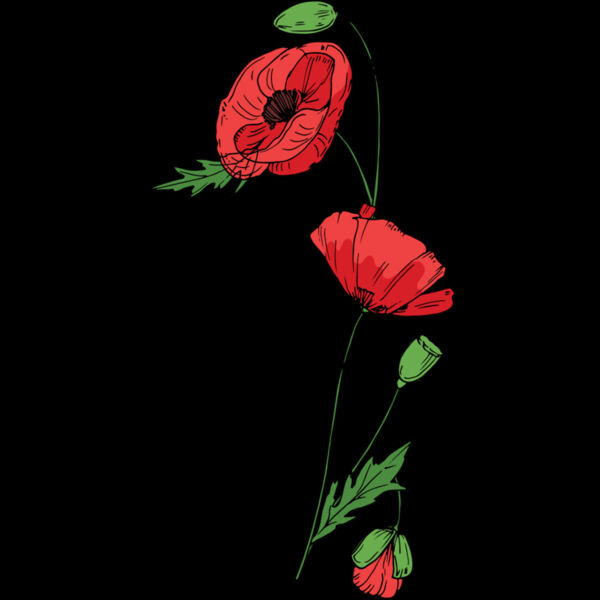 B6178 Poppies Thumbnail