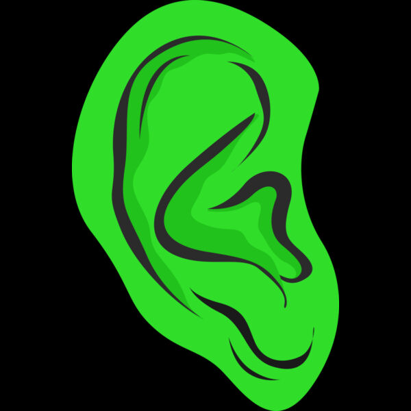 B7176 Ear Thumbnail