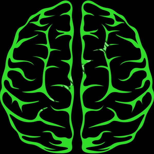 B7177 Brain Thumbnail