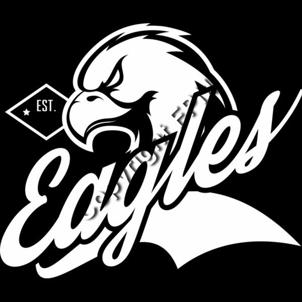 2564 Eagles Thumbnail