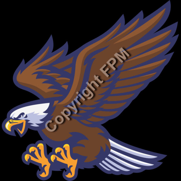 6555 Eagles Thumbnail