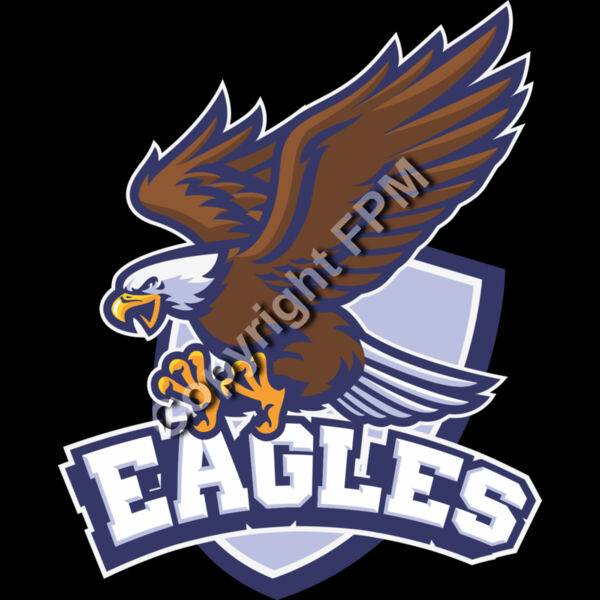 6554 Eagles Thumbnail
