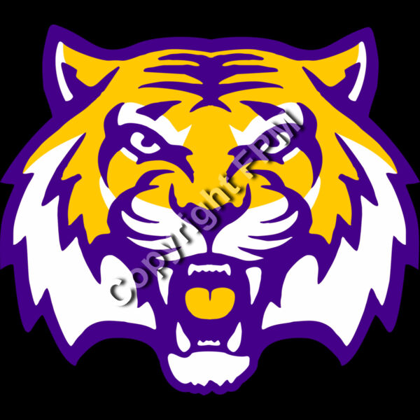 4236 Wild Cat Thumbnail