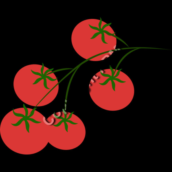 B4369 Tomatos Thumbnail