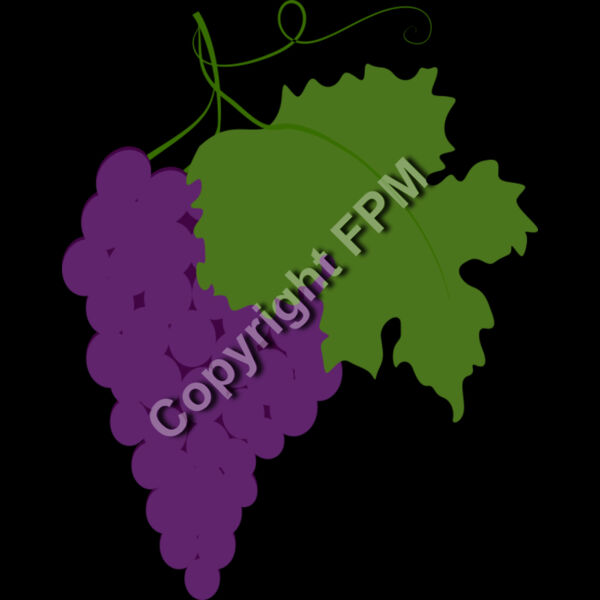 B4370 Grapes Thumbnail