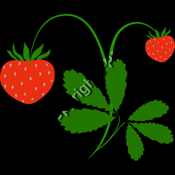 B4371 Strawberries Thumbnail