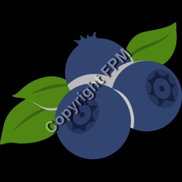 B4373 Blueberries Thumbnail