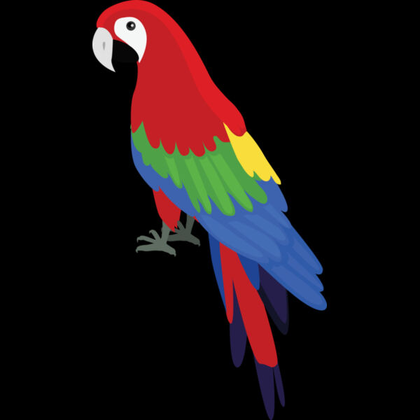 2998 Parrot Thumbnail