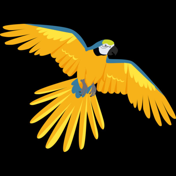 3425 Parrot Thumbnail