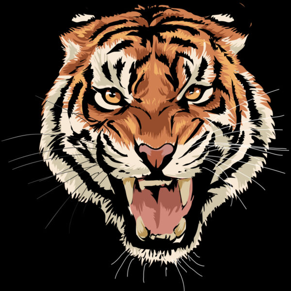 5843 Tiger Thumbnail